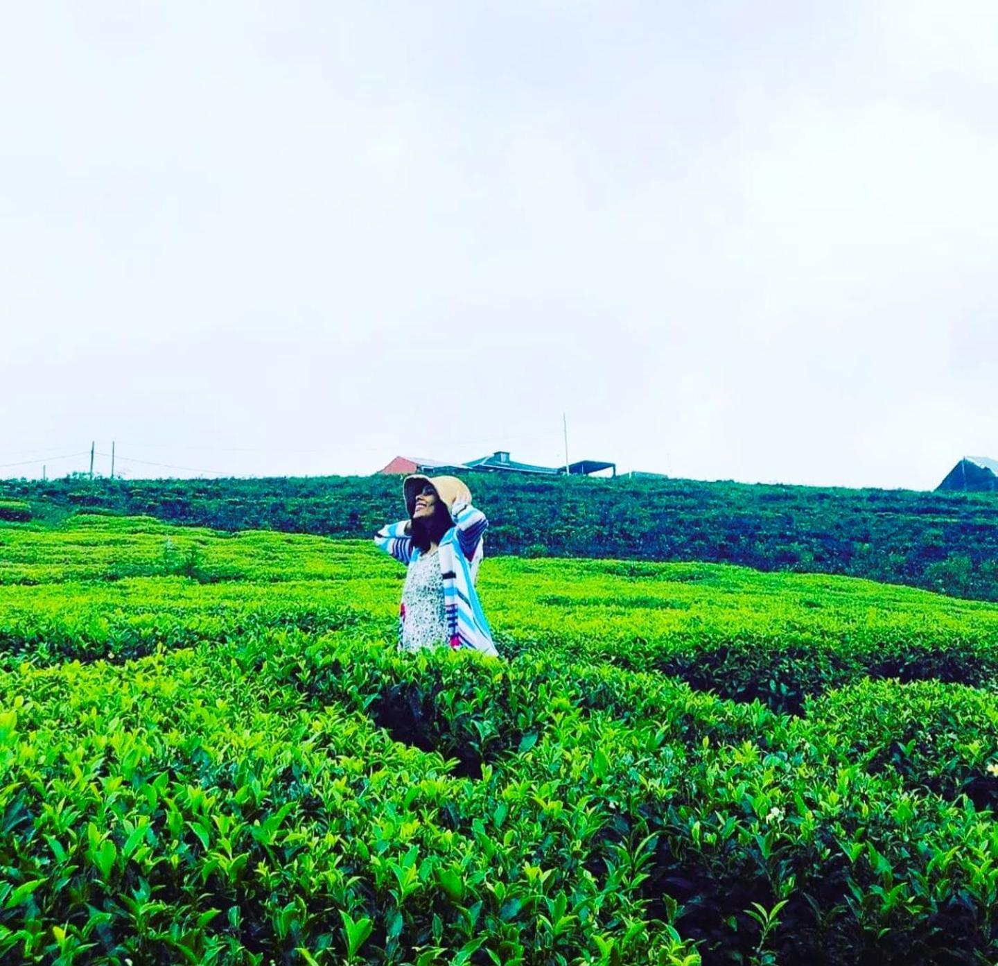 The Tea Garden Villa Nuwara Eliya Kültér fotó