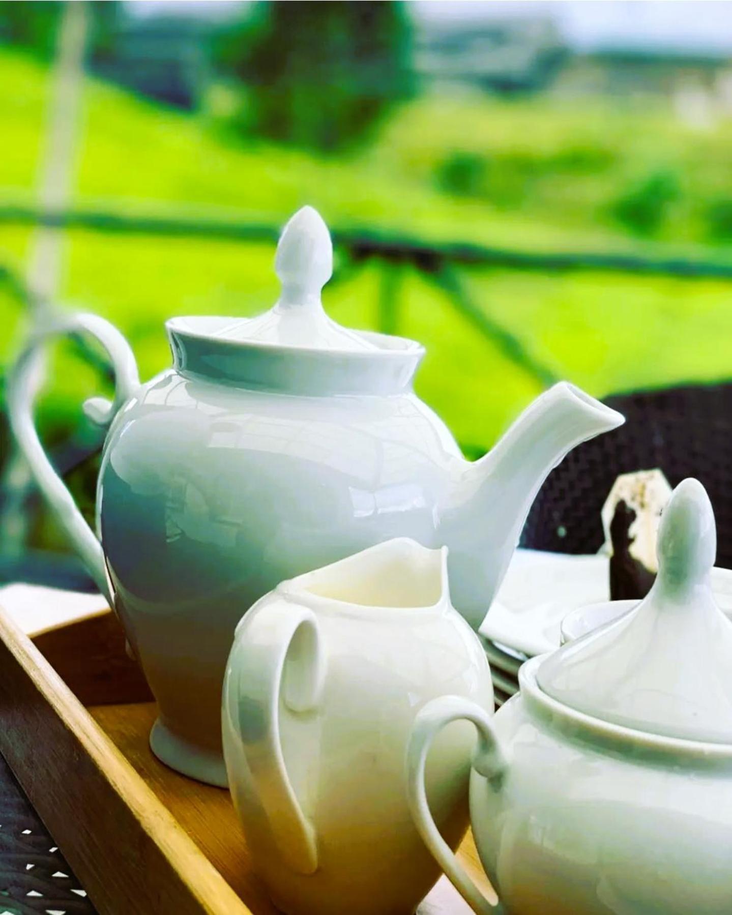 The Tea Garden Villa Nuwara Eliya Kültér fotó